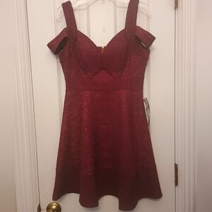 Honey and Rosie Burgundy Glitter Mini Dress Small (NWT)